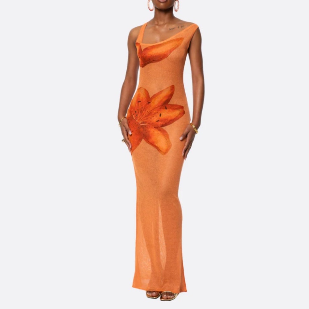 Hanifa Floral Sheer Slip Maxi Dress